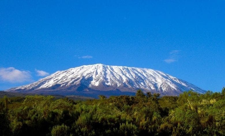 London leading chefs climb Kilimanjaro for charity